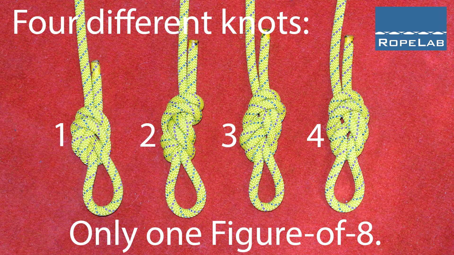 RopeLab Quiz 4: Knot or Not?